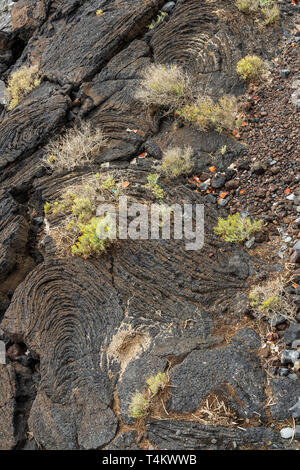 Pahoehoe lave Fluss mit kleinen Sträuchern und Müll in Playa San Juan, Teneriffa, Kanarische Inseln, Spanien gedumpten Stockfoto