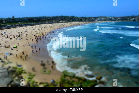 Die Leute am Strand an einem heißen Sonntag im Frühling. Bondi Beach, Sydney, NSW, Australien.