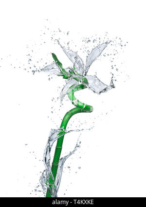 Blume aus Wasser spritzt auf weißem Hintergrund Stockfoto