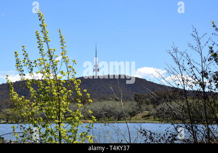 Panoramablick auf Black Mountain Tower (Telstra Tower) und Lake Burley Griffin in Canberra, Australien, Stockfoto