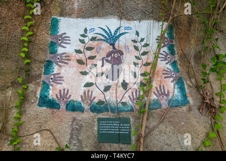 Wandmalereien im Innern des Rainforest Biome im Eden Project, Cornwall, England Stockfoto