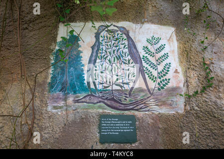 Wandmalereien im Innern des Rainforest Biome im Eden Project, Cornwall, England Stockfoto