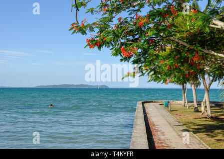 Die Küste bei Itaparica Insel in der Nähe von Salvador Bahia in Brasilien Stockfoto