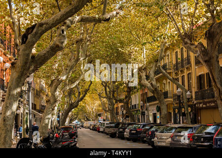 Denia, Alicante, Spanien, 21. November 2018: Marques de Campo Street, der Hauptstraße. Commercial Street Stockfoto