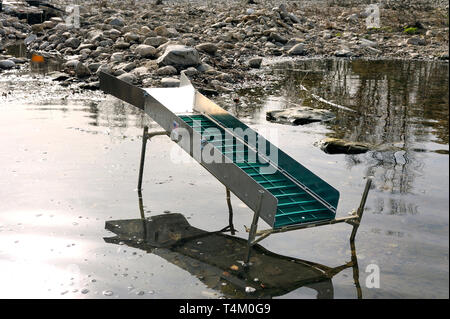 Schleuse oder Waschen Rampe in Situation im Wasser für die Suche nach Gold in den Fluss Stockfoto