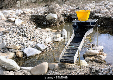 Schleuse oder Waschen Rampe in Situation im Wasser für die Suche nach Gold in den Fluss Stockfoto