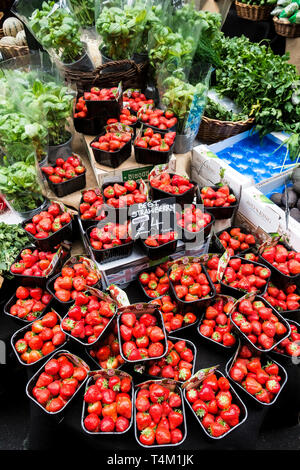 Körbchen für frische Erdbeeren auf Verkauf in den Borough Market in London. Stockfoto