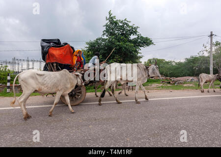 Indische Rajasthani Reisende in einem Ochsenkarren in Rajasthan, Indien Stockfoto