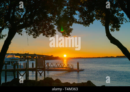 Sunrise leuchtet über Tauranga Hafen mit geschwungenen Linien der Harbour Bridge und dem Steg durch die Silhouette des puhutukawa Bäumen eingerahmt. Stockfoto