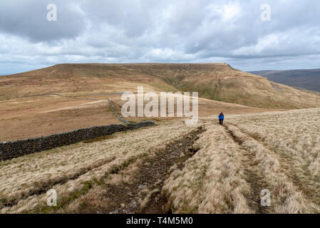 Person Wandern quer durch das Moor von Wildschweinen fiel, Mallerstang, Cumbria Stockfoto