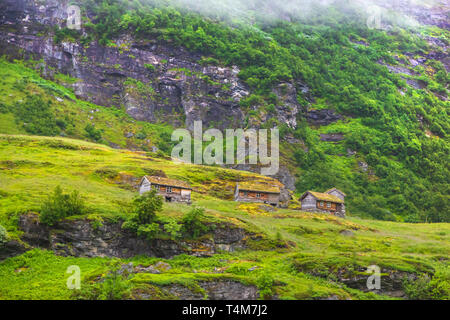 Alte Häuser mit begrünten Dächern in Norwegen Stockfoto