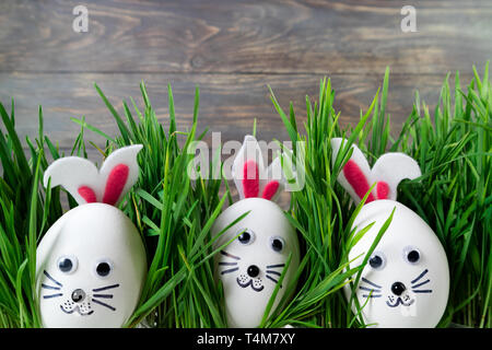 Lustige Ostereier cute Bunny im Gras. Frohe Ostern Hintergrund. Kreative Ostereier Dekoration Ideen mit Osterhase Stockfoto