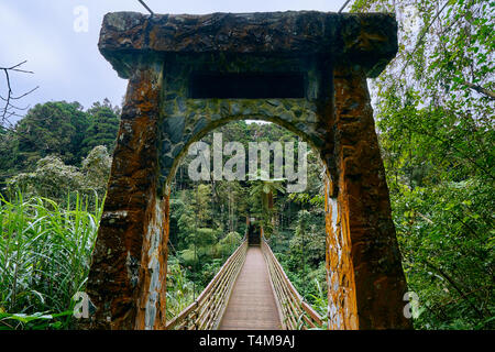 Schöne scenics von Cuihong Hängebrücke Xitou Natur Bildung Bereich am Lugu Nantou, Taiwan. Stockfoto