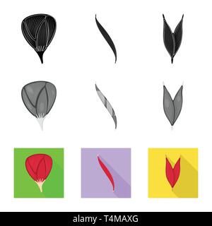 Isoliertes Objekt der Faser und muskulös Logo. Satz von Faser- und Körper vektor Symbol für das Lager. Stock Vektor
