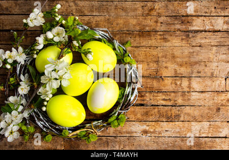 Gelbe Ostereier und Spring Blossom Flowers Top View Stockfoto