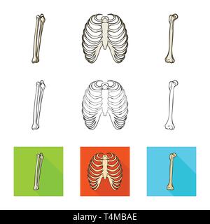 Femur, Rippe, Käfig, gebrochen, Bein, Röntgen, Fibel, Knie, Körper, Shin, Tibia, Wirbelsäule, Brustbein, Bruch, Ausrichtung, Brustbein, Kalzium, Schmerzen, Chirurgie, Medizin, Klinik, Biologie, Medizin, Knochen, Skelett, Anatomie, menschliche Organe, Set, Vector, Icon, Illustration, isoliert, Sammlung, Design, Element, Grafik, Zeichen, Vektor, Vektoren, Stock Vektor