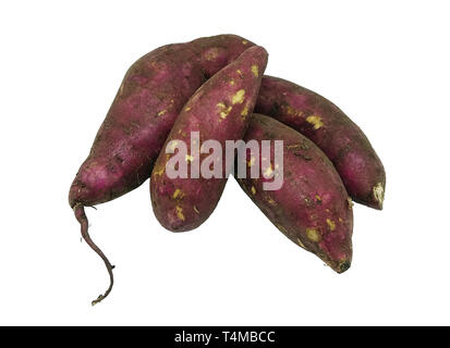 Lila Kartoffel, große, stärkehaltige, süß schmeckenden, Wurzelknollen und ein Wurzelgemüse, auf weißem Hintergrund. Stockfoto