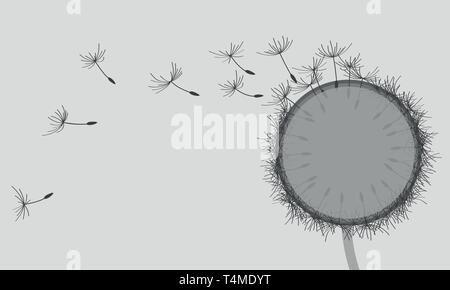 Die Grafik eines großen schwarzen Löwenzahn von jziprian Stock Vektor