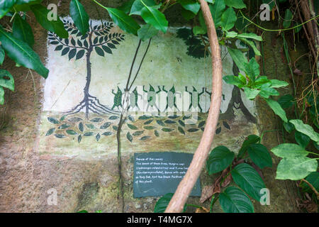 Wandmalereien im Innern des Rainforest Biome im Eden Project, Cornwall, England Stockfoto