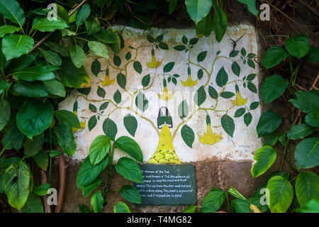 Wandmalereien im Innern des Rainforest Biome im Eden Project, Cornwall, England Stockfoto