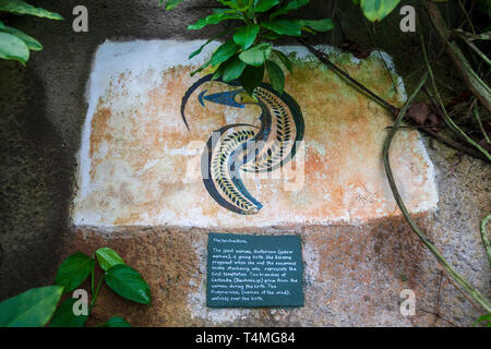 Wandmalereien im Innern des Rainforest Biome im Eden Project, Cornwall, England Stockfoto