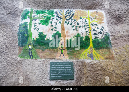 Wandmalereien im Innern des Rainforest Biome im Eden Project, Cornwall, England Stockfoto