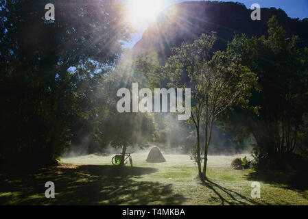 Morgennebel am Camping Rio Gonzalez, pumalin Nationalpark, Patagonien, Region de los Lagos, Chile Stockfoto