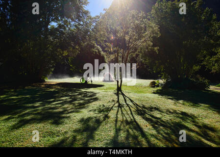 Morgennebel am Camping Rio Gonzalez, pumalin Nationalpark, Patagonien, Region de los Lagos, Chile Stockfoto