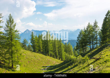 Trekking Route in National park Dachstein, Österreich. Sie alpinen Berge und grüne Wälder. Blauer Himmel im Sommer Tag Stockfoto