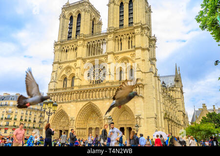 Paris, Frankreich, 2. Juli 2017: Touristen und Tauben in Notre Dame de Paris. nach oben Paris Attraction. Schönen Tag im blauen Himmel. Zentrale Fassade mit Türmen Stockfoto