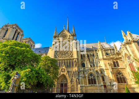 Paris, Frankreich, 1. Juli 2017: Details der seitlichen Garten in der Kirche Notre Dame von Paris, Frankreich. Gotische Architektur der Kathedrale von Paris, Ile de la Stockfoto