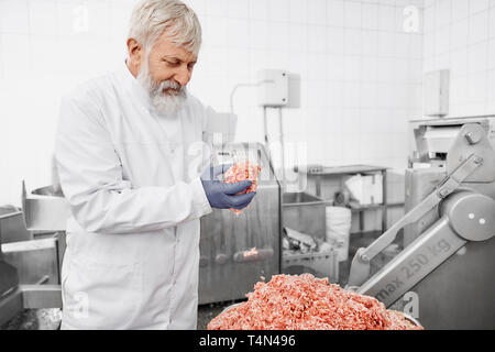 Ältere professional in weißer Uniform und Gummihandschuhe stehend in der Nähe von Anlagen und halten forcemeat. Produktion von Hackfleisch. Metzger, Mann mit grauem Bart und Haare auf Fleisch Fabrik. Stockfoto