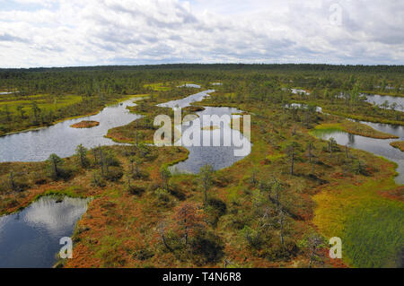 Soomaa Nationalpark, Estland. Soomaa Nemzeti Park, Észtország. Stockfoto