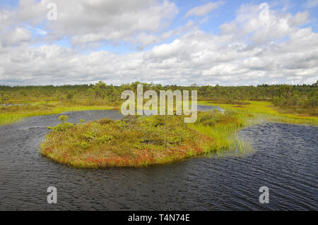 Soomaa Nationalpark, Estland. Soomaa Nemzeti Park, Észtország. Stockfoto