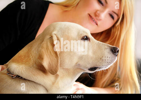 Frau mit Hund ruht sich im Bett zu Hause, entspannen im Schlafzimmer. Mädchen ist Petting mit ihrem Hund. Portrait von niedlichen gelben Labrador Retriever und ihre Besitzer. Stockfoto