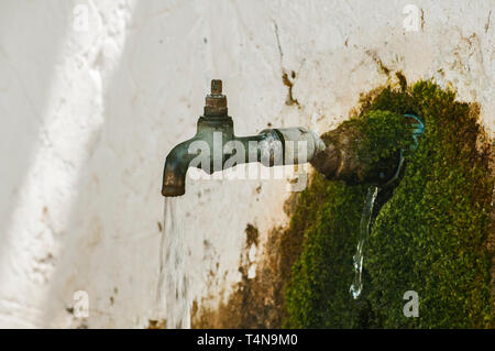 Veraltete verwitterten fließendem Wasserhahn der ländlichen alten überwachsen mit Moss fließenden Brunnen Stockfoto