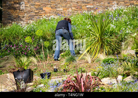 Eine Frau, die das Arbeiten auf einer geneigten Garten. Stockfoto