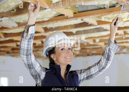 Porträt von Frauen mit einem Schraubendreher Builder auf Holzbalken Stockfoto