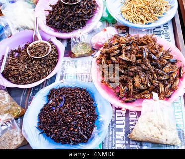 Gebratene Insekten und Grillen als Delikatesse auf einem Markt im Norden von Thailand Stockfoto