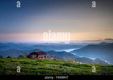 Schöne Dämmerung an der Cau Dat Tee Plantage in der Stadt Dalat, Vietnam Stockfoto