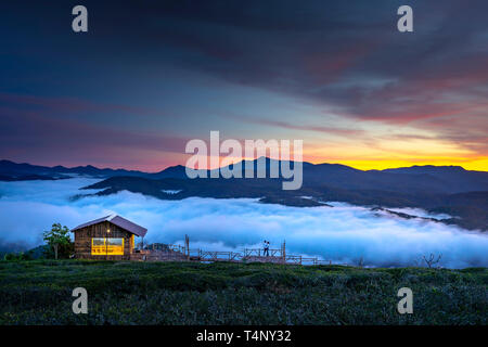 Schöne Dämmerung an der Cau Dat Tee Plantage in der Stadt Dalat, Vietnam Stockfoto