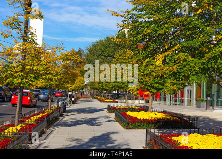 Washington DC Straße im frühen Herbst, USA. Ein breites Fahrräder freundlich Bürgersteig mit blumenbeeten an einem sonnigen Morgen. Stockfoto