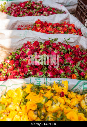 Vertikale Nahaufnahme von Säcke voller Rosen an Mattuthavani Blumenmarkt in Madurai, Indien. Stockfoto