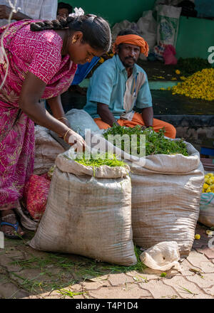 Vertikale Ansicht an Mattuthavani Blumenmarkt in Madurai, Indien. Stockfoto