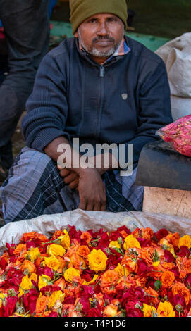 Vertikale Porträt eines Mannes, den Verkauf von Rosen an Mattuthavani Blumenmarkt in Madurai, Indien. Stockfoto