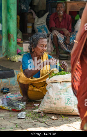 Vertikale Porträt einer armen Frau Verkaufen grünes Laub an Mattuthavani Blumenmarkt in Madurai, Indien. Stockfoto