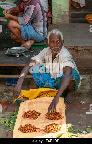 Vertikale Porträt eines Mannes verkauf Hagebutten an Mattuthavani Blumenmarkt in Madurai, Indien. Stockfoto