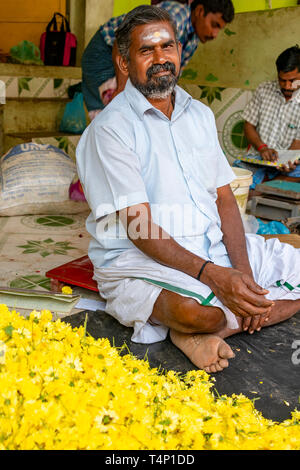 Vertikale Porträt eines Mannes, den Verkauf von gelben Ringelblumen bei Mattuthavani Blumenmarkt in Madurai, Indien. Stockfoto