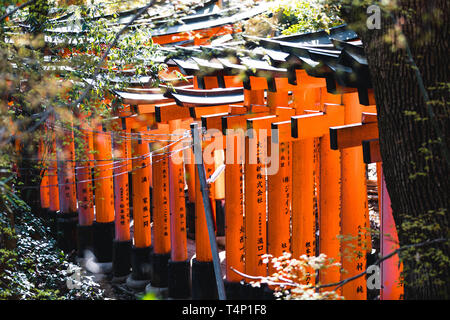 Orange Gates und Objekte an Fushimi Inari-Taisha Schrein in Kyoto, Japan Stockfoto
