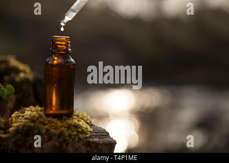 Dropper und braunen Glasflasche. Ätherisches Öl fallen von Glas Dropper. Stockfoto